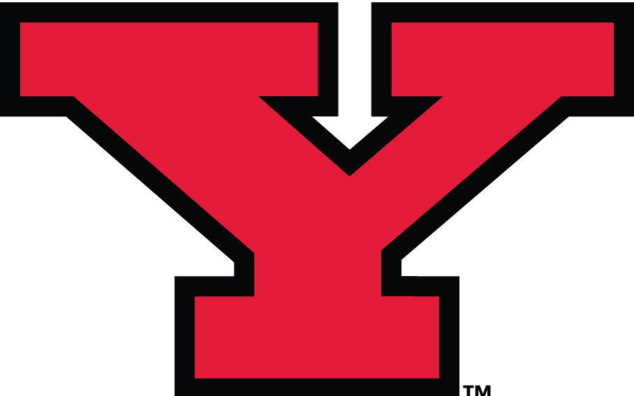 Youngstown State Penguins 1993-Pres Alternate Logo diy iron on heat transfer